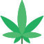 Cannabis, Marijuana & CBD